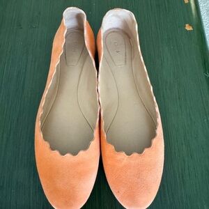 Chloé Coral Scalloped Suede Ballet Flats